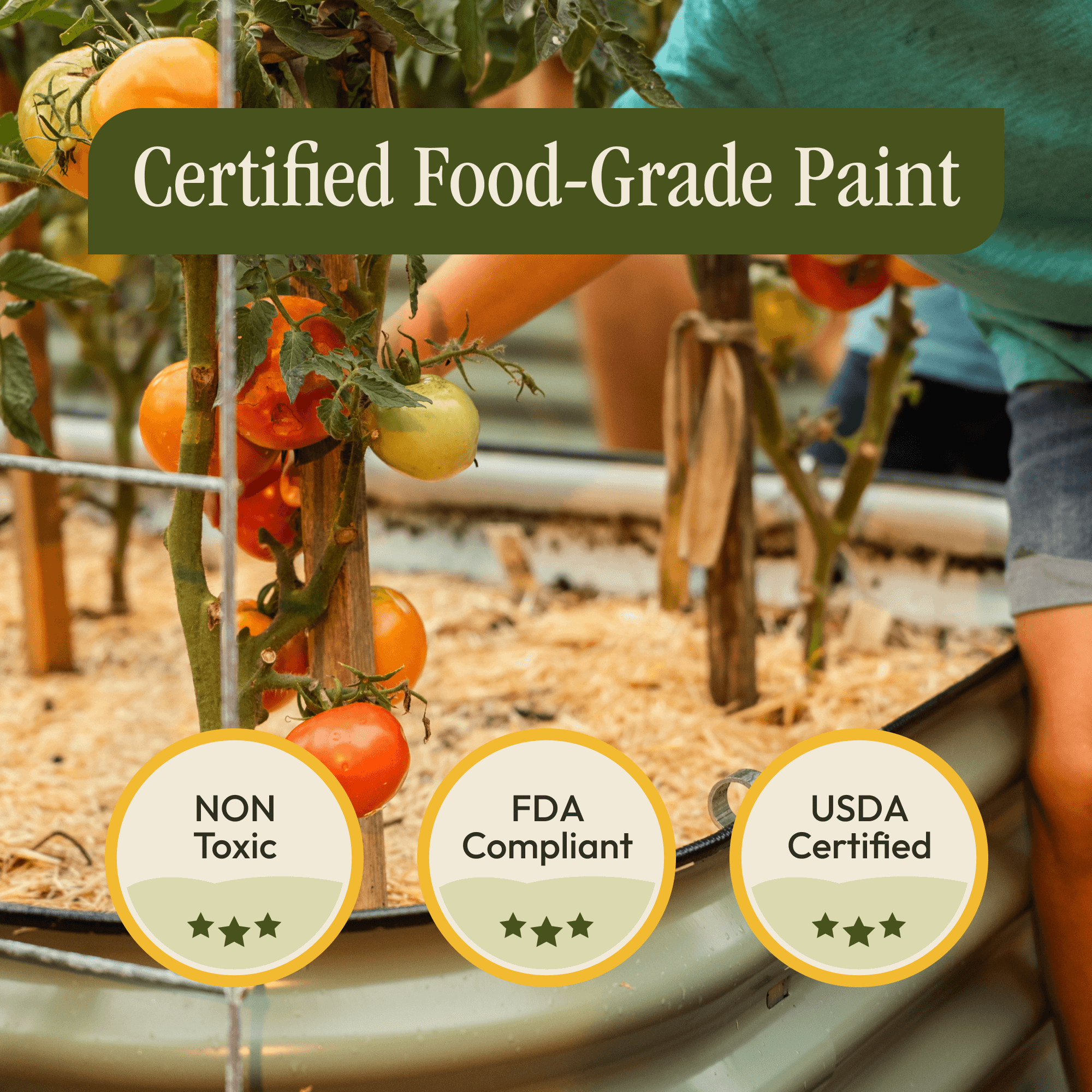 Tomatoes growing in a garden with text about certified food-grade paint and certification logos.
